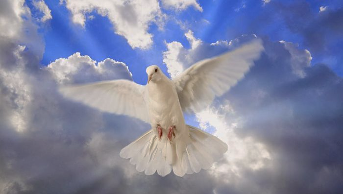 El Espíritu Santo: La Persona Divina en la Biblia